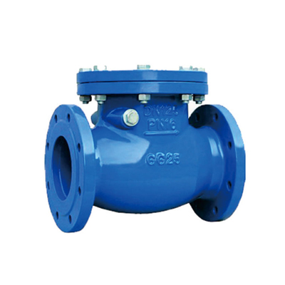 Swing check valve 