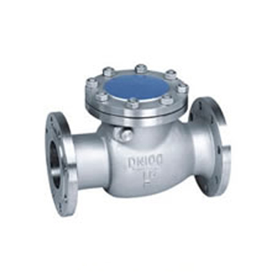  Swing check valve 