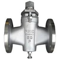  Two way plug valve 