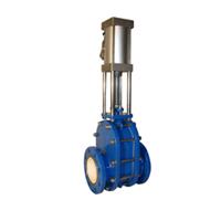  Pneumatic ceramic double gate valve 