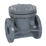  CPVC swing check valve 