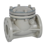  PPH swing check valve 