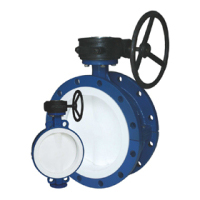  Butterfly valve 