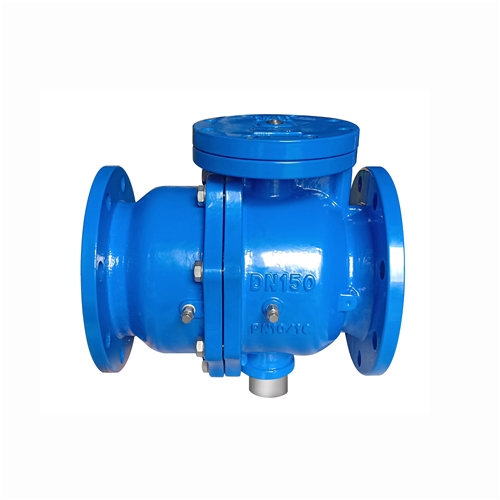  Low resistance backflow preventer 