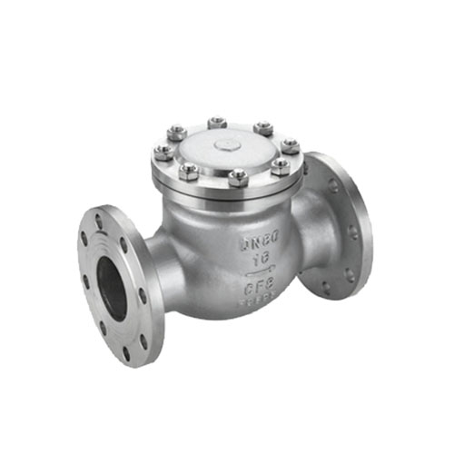 Swing check valve 